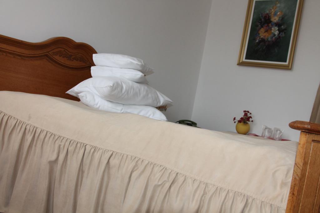 Hotel Zimbru Câmpulung Moldovenesc 部屋 写真